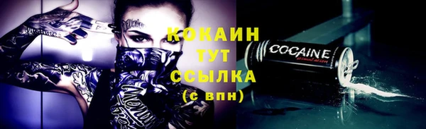 ALPHA PVP Гусев