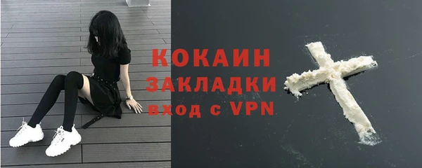 мяу мяу мука Дмитриев