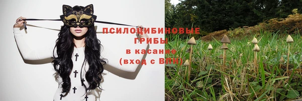 мяу мяу мука Дмитриев