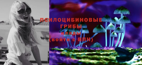 ALPHA PVP Гусев